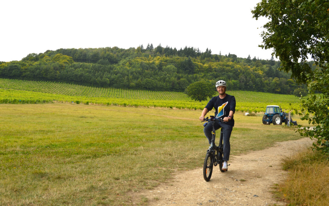 Denbies Wine Estate – Solar E-Bike Charging for Sustainable Transport
